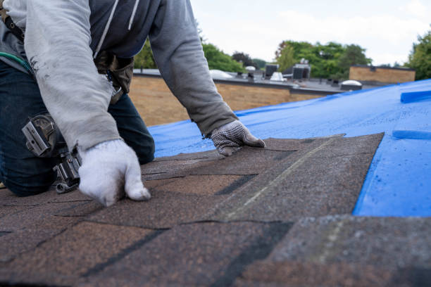 Best Commercial Roofing Services  in East Brady, PA